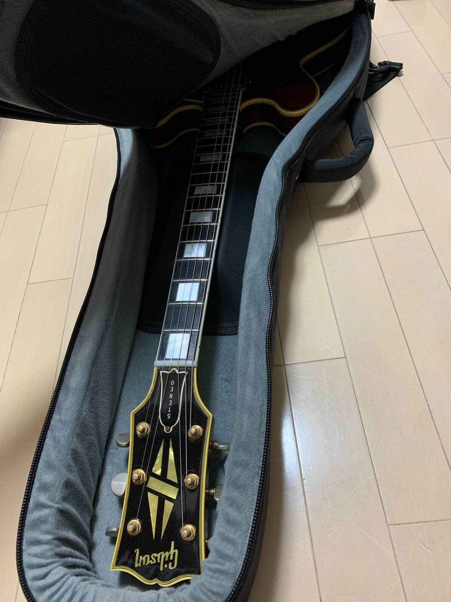 MONO M-80 semi hollow セミアコ ギターケース - 楽器/器材